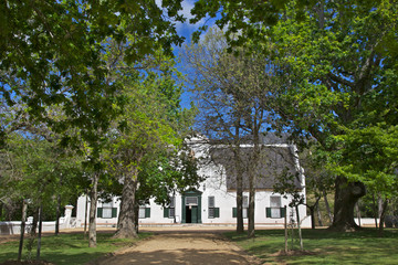 Groot Constantia