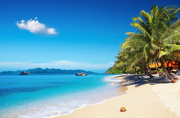 Plakat Tropical beach, Thailand