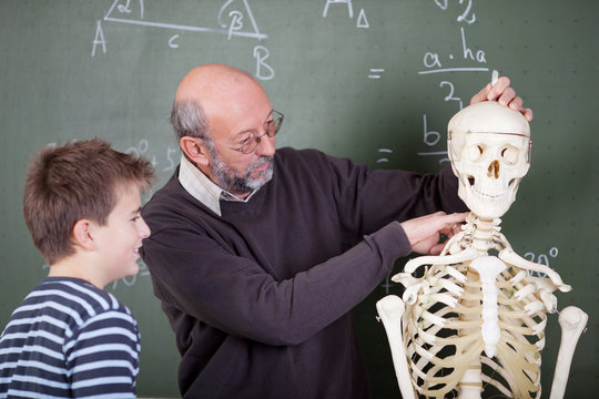 schüler und lehrer mit skelett