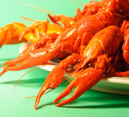 Crayfishes on a plate