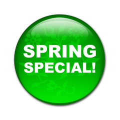 Boton brillante texto SPRING SPECIAL!