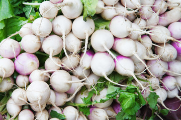 Pile of radishes