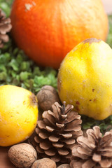 Hokkaido Kürbis, Quitten, Tannenzapfen und Walnüsse