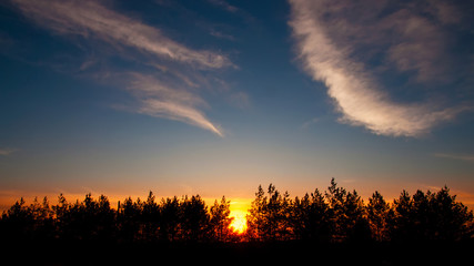 sunset behind the trees