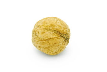 walnut