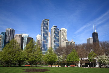 Chicago Skyline © Ffooter