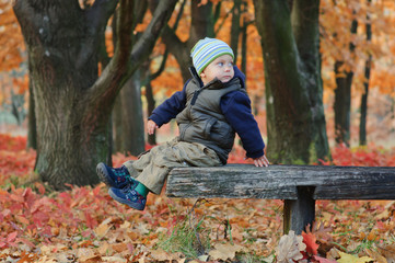 Cute little boy sitting on a bench in the autumn park