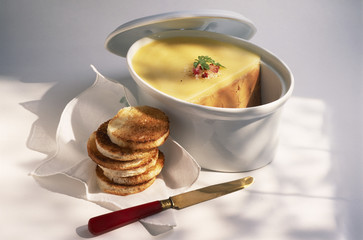 Terrine de foie gras de canard cru