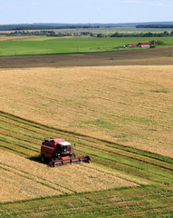 Fototapeta premium Combine machine on the field