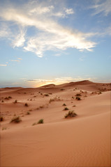 Fototapeta na wymiar sahara