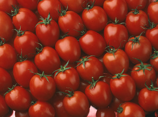 Tomates