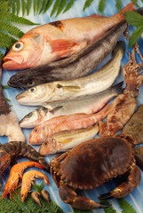 assortiment de poissons et crustacés