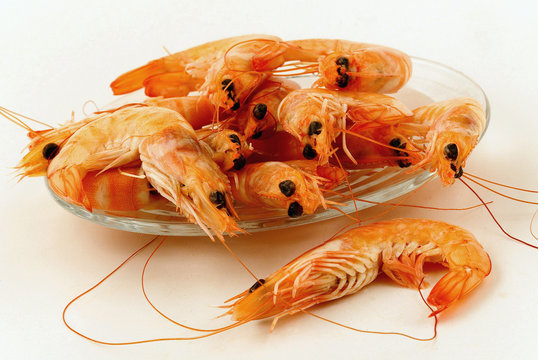 crevettes rose  cuite