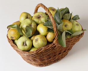 panier de pommes 