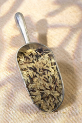 riz sauvage