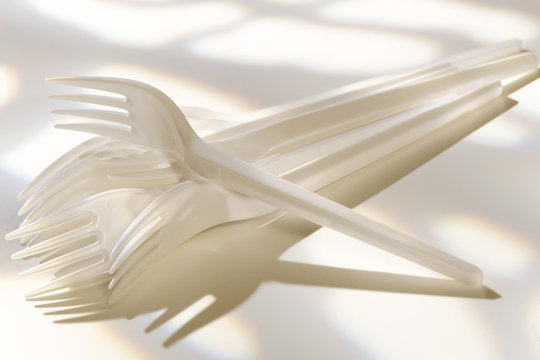 fourchettes jettables