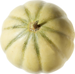 Melon cantaloup