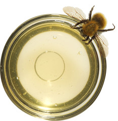 Miel et abeille