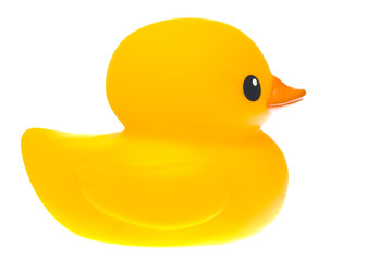 rubber duck