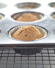 Madeleines dans des moules