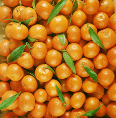 Mandarines