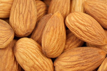 Close up of  fresh almonds nuts