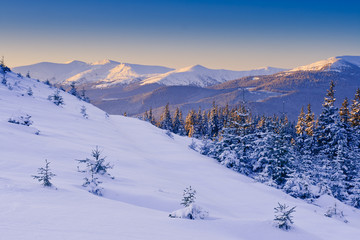 Fototapeta premium winter