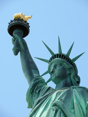 Fototapeta na wymiar Panna Liberty