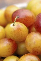 Mirabelles