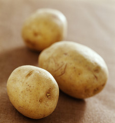 pommes de terre 
