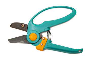 Pruning shears
