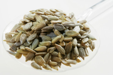 Graines de tournesol