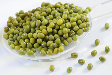 Haricots mungo
