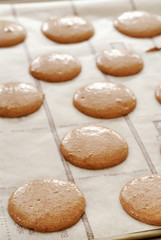 Plaque de macarons avant-cuisson