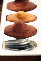 Madeleines dans leur moule