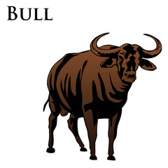 colored indian bull vector illustration
