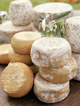 Assortiment de fromages corses 