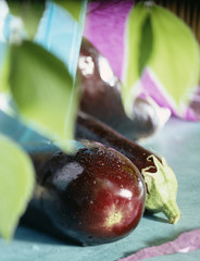 Aubergines