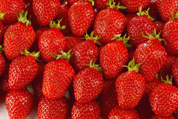 Fraises