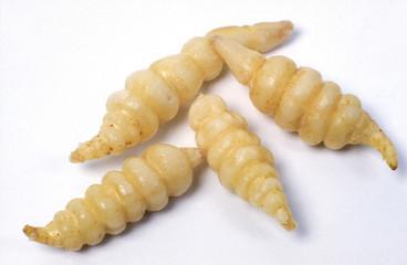 Crosnes