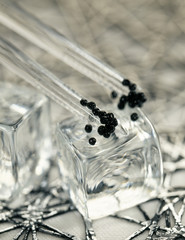 Caviar sur cube de glace