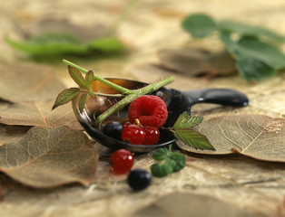 Composition de fruits des bois