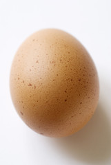 Oeuf