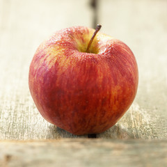 Pomme gala