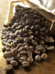 Café en grains