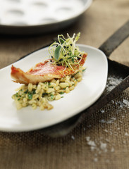 Filet de rouget au blé