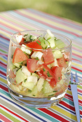 Salade de concombres, tomates et fenouil
