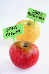Pomme Gala sans OGM et pomme golden sans pesticides
