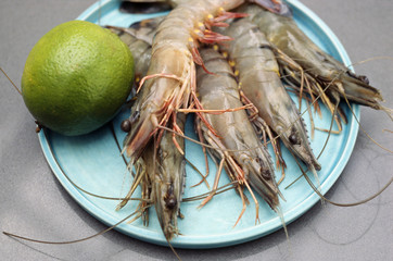 Gambas
