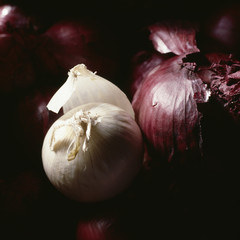 Oignon blanc et oignon rouge